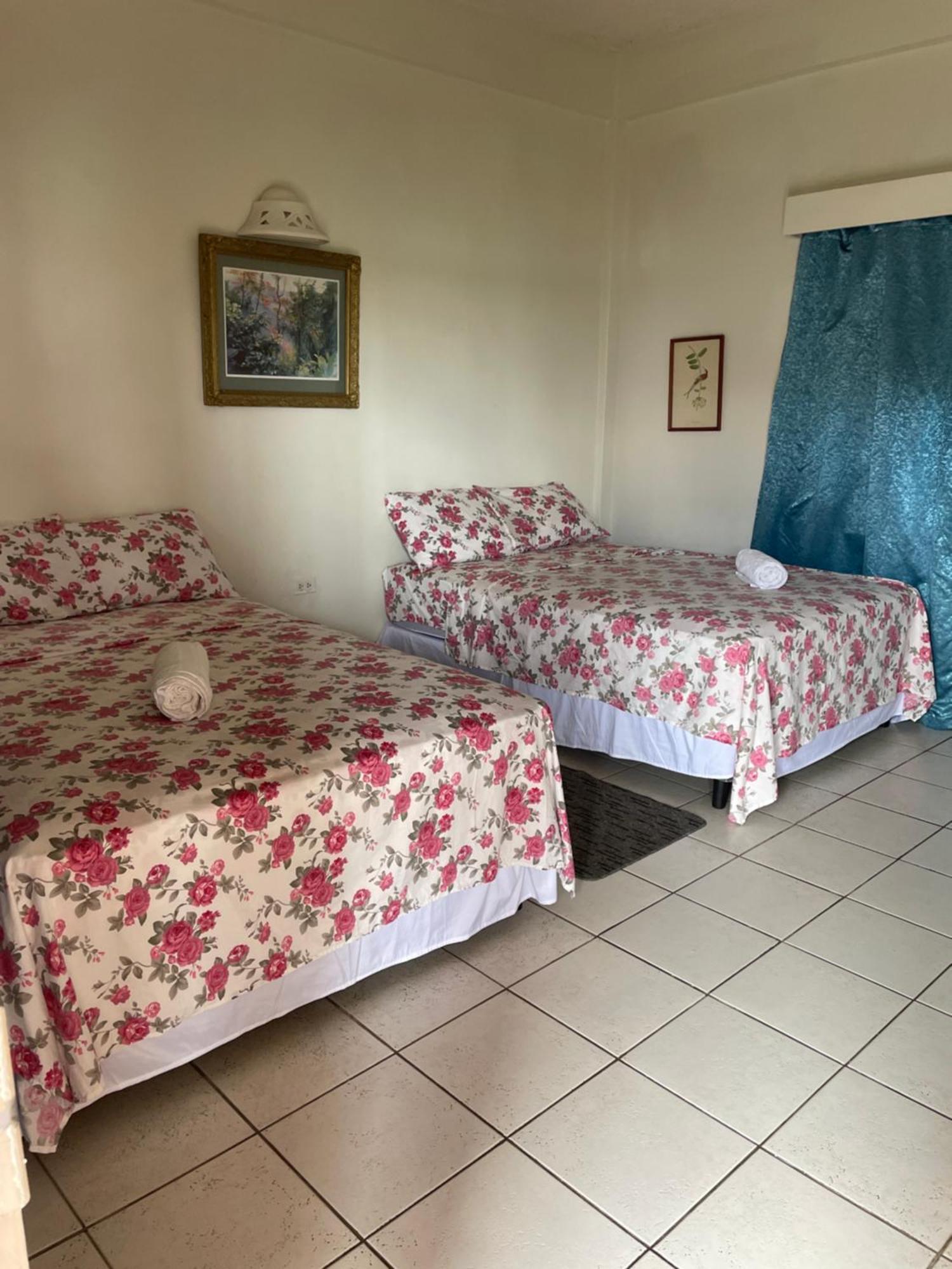 The Seaside Garden Guesthouse Buccoo Екстер'єр фото